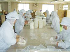 流通加工・手作業風景